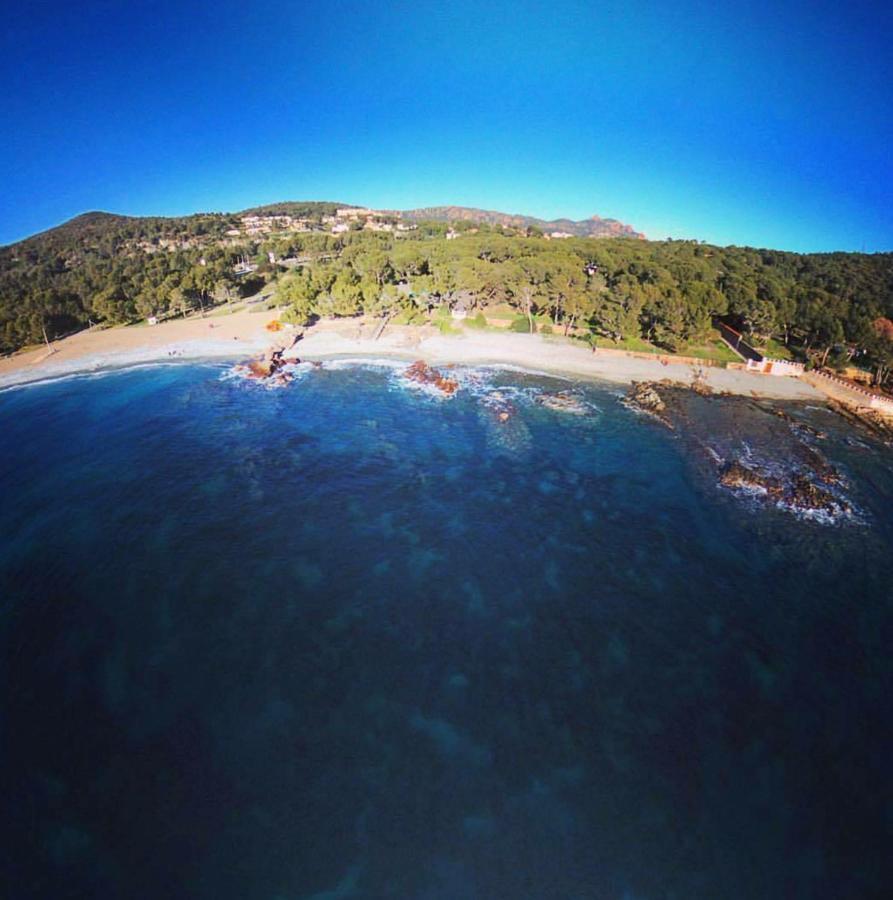 Hotel Auberge Provencale Saint-Raphaël Dış mekan fotoğraf