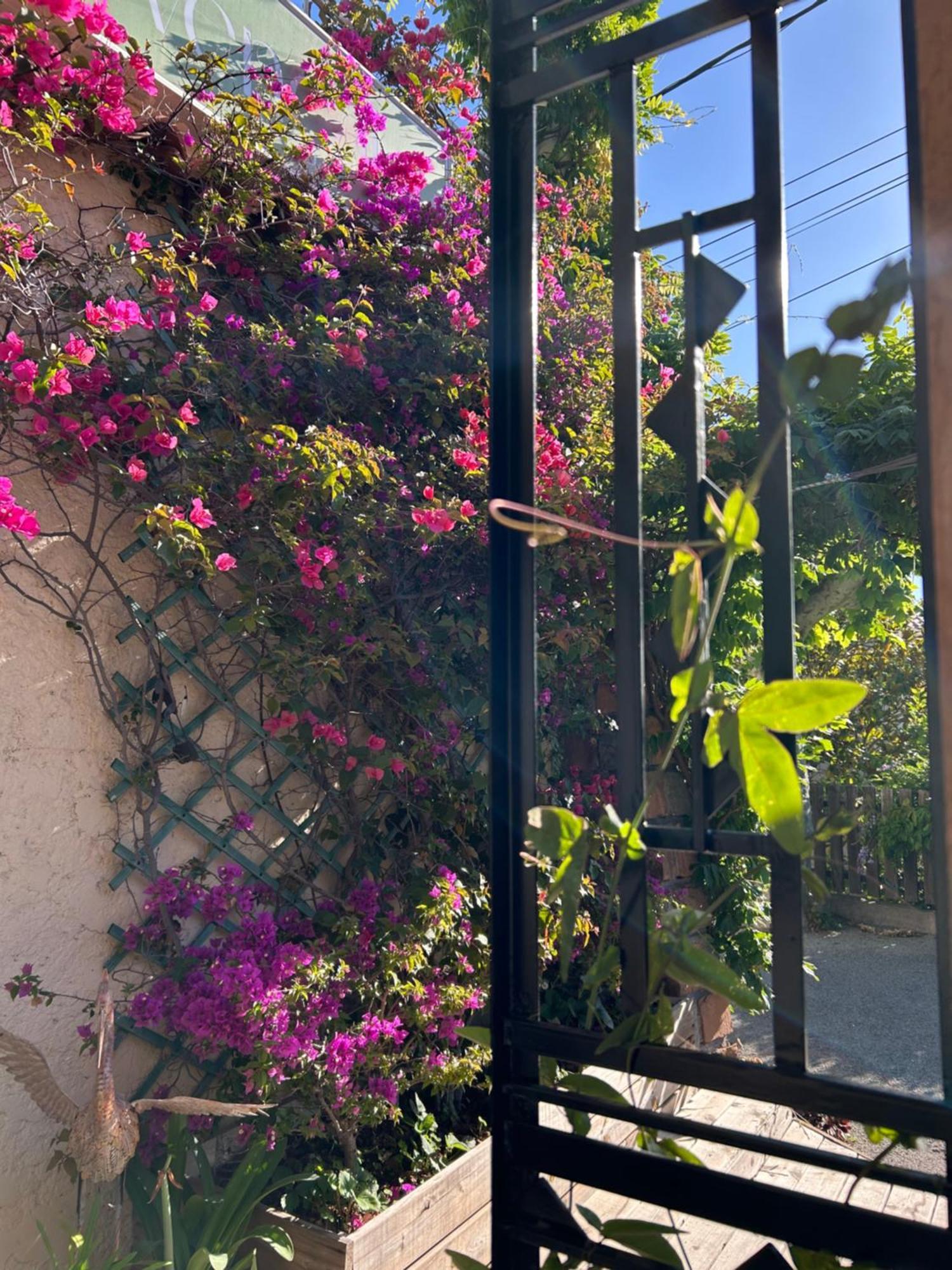 Hotel Auberge Provencale Saint-Raphaël Dış mekan fotoğraf