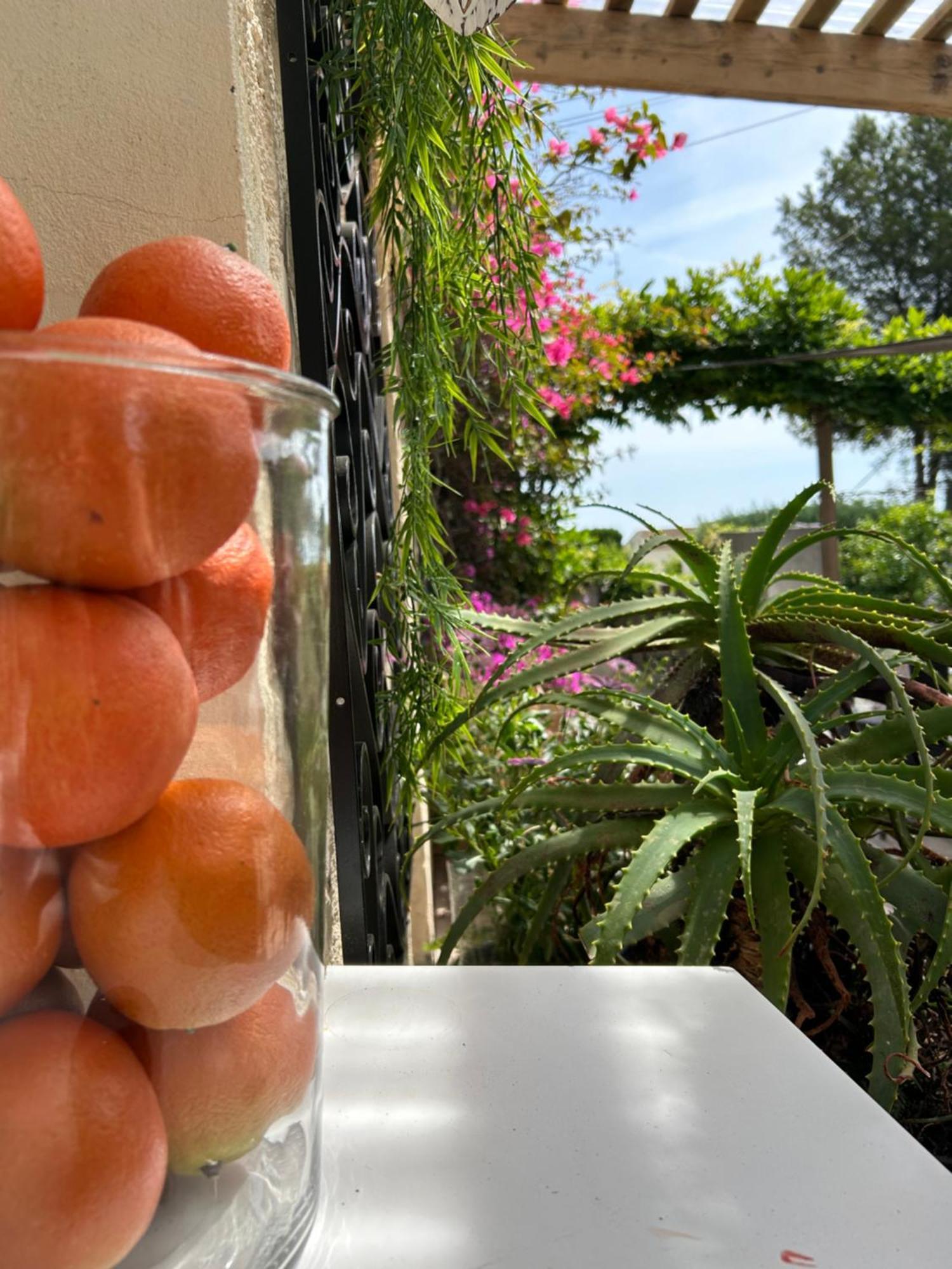 Hotel Auberge Provencale Saint-Raphaël Dış mekan fotoğraf