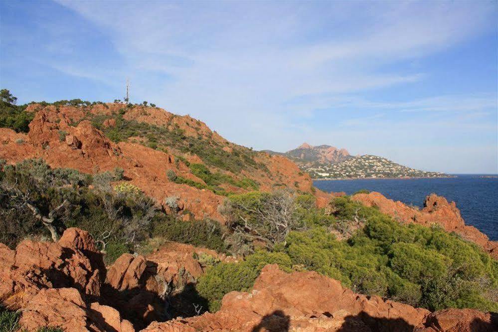 Hotel Auberge Provencale Saint-Raphaël Dış mekan fotoğraf